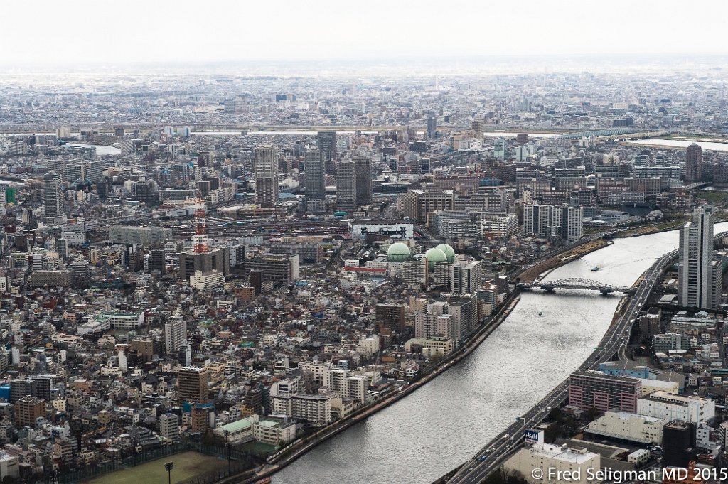 20150310_150415 D4S.jpg - View from Tokyo Skytree